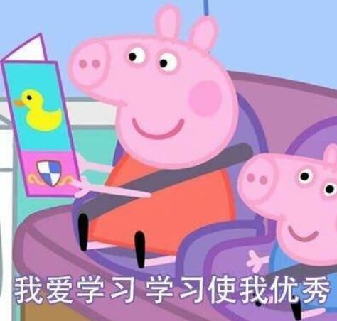 我爱学习.学习使我优秀
