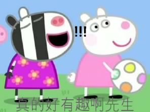 真的好有趣啊,先生