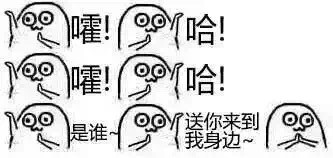 嚯哈!嚯哈!是谁,送你来到我身边!