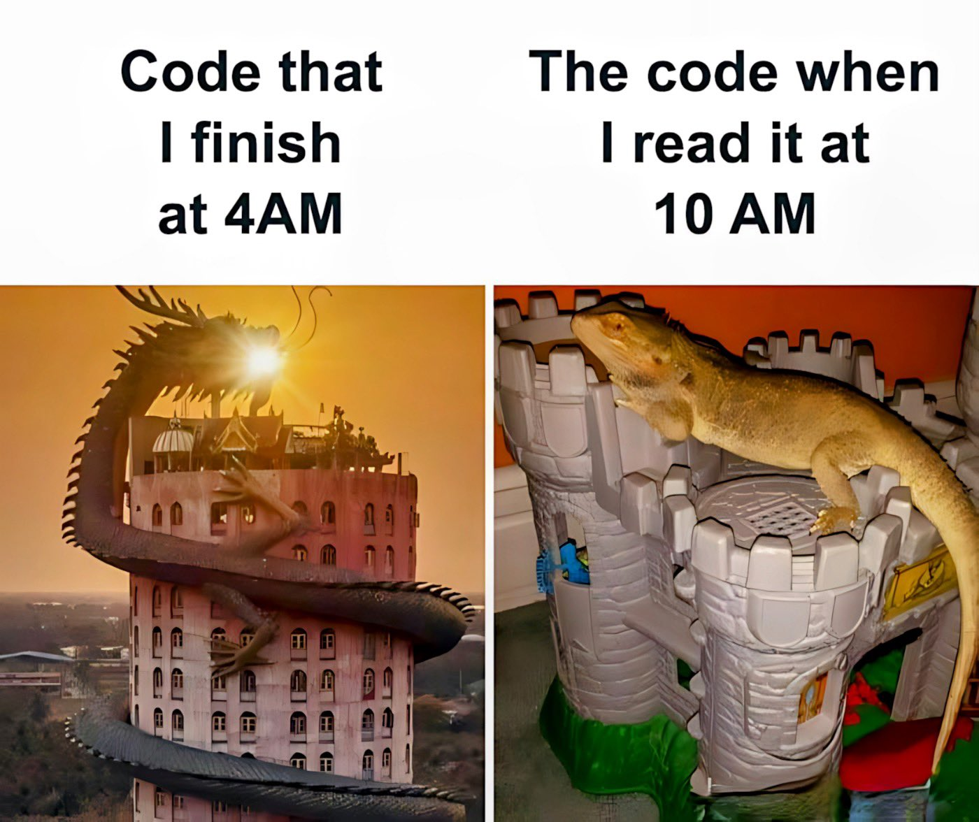 Morning Reality