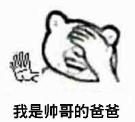 我是帅哥的爸爸!