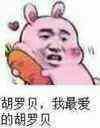 胡罗贝.我最爱的胡罗贝