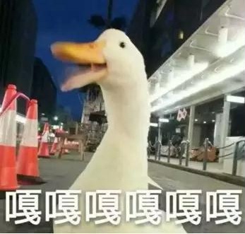 嘎嘎嘎嘎嘎嘎