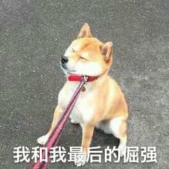 我和我最后的倔强