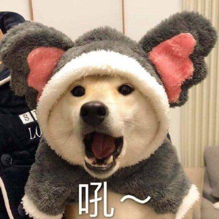 吼~