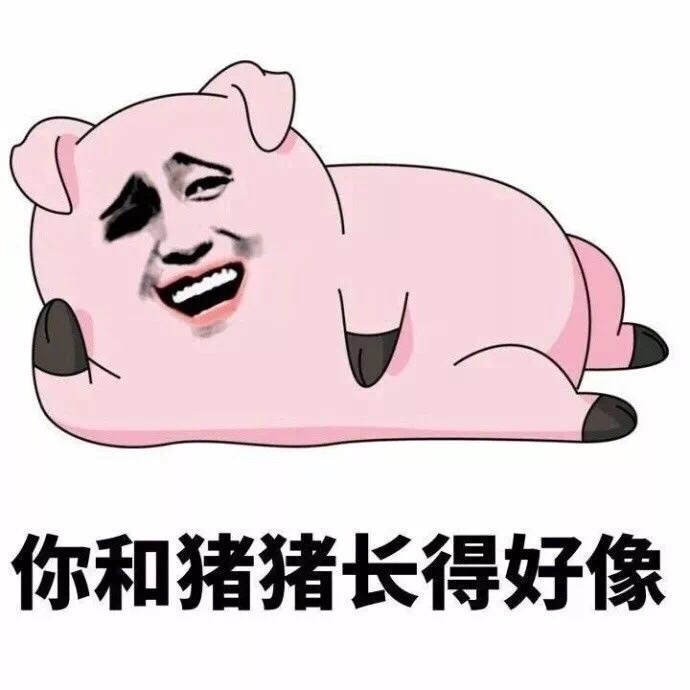 猪猪表情。