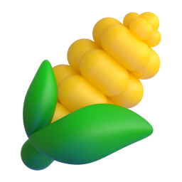 Ear of corn