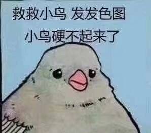 救救小鸟.发发色图.小鸟硬不起来了
