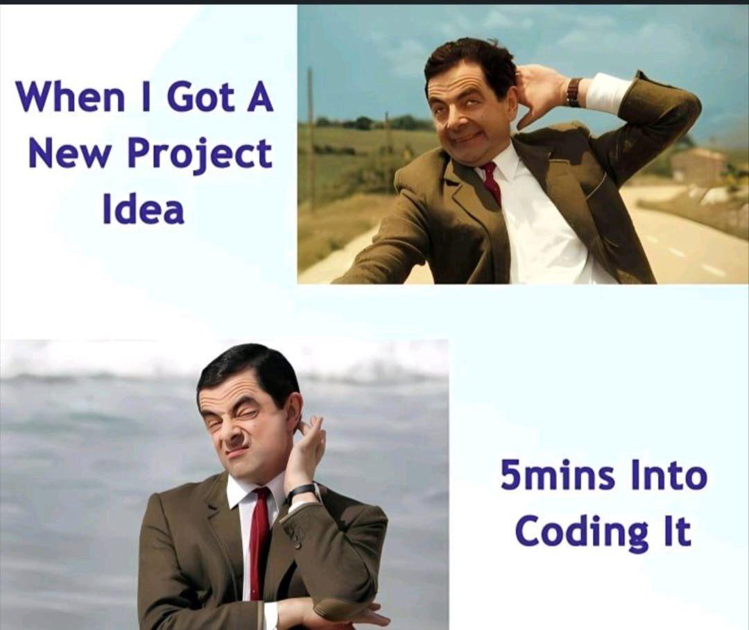 New Project Euphoria Vs. Coding Reality