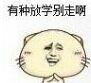 有种放学别走啊
