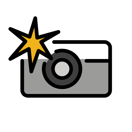 Camera with flash