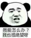 我能怎么办?我也很绝望呀!