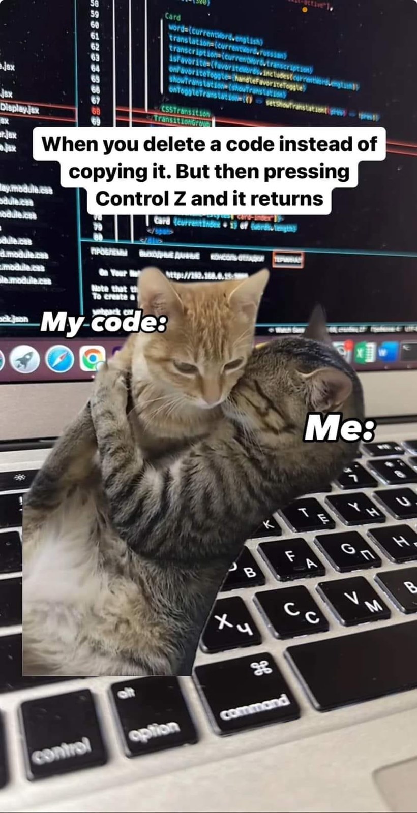 Ctrl+Z: The Developer's Guardian Angel