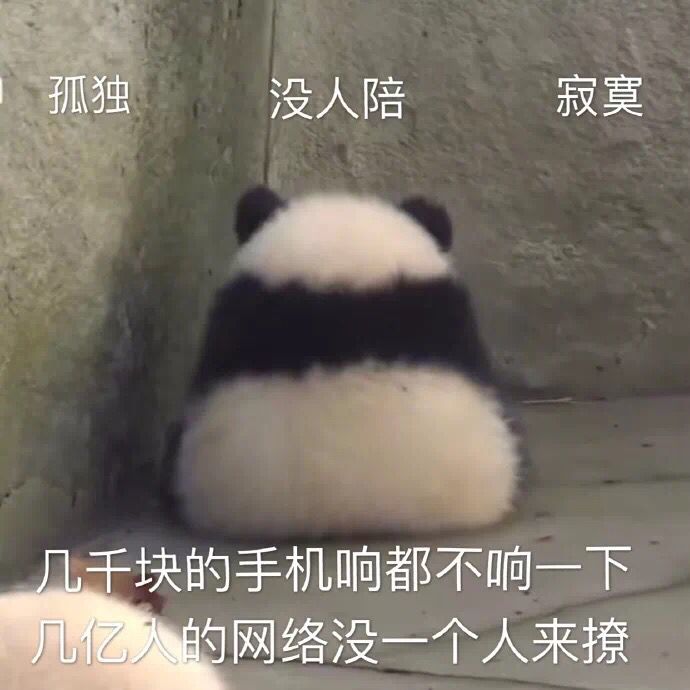 孤独没人陪寂寞,几千块的手机响都不响一下,几亿入的网络没一个人来撩