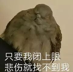 只要我闭上眼.悲伤就找不到我