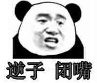 逆子.闭嘴!(张学友熊猫人)