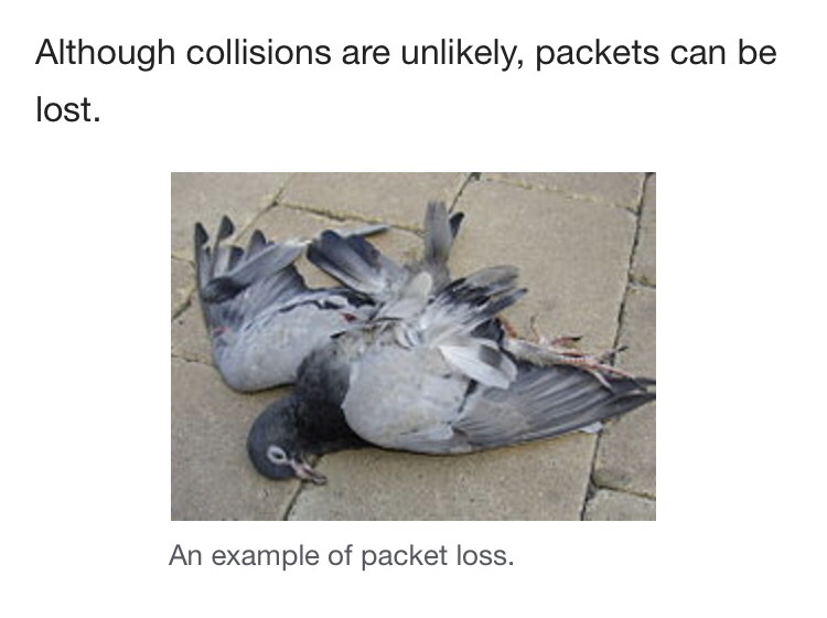 From the Wikipedia article, “IP over Avian Carriers”