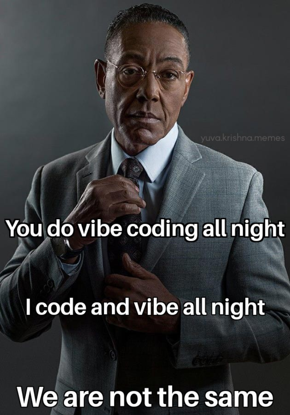Vibe Or Cry: The Developer Hierarchy