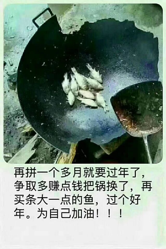 再拼一个多月就要过年了,争取多赚点钱把锅换了,再买条大一点的鱼,过个好年。为自己加油!!!
