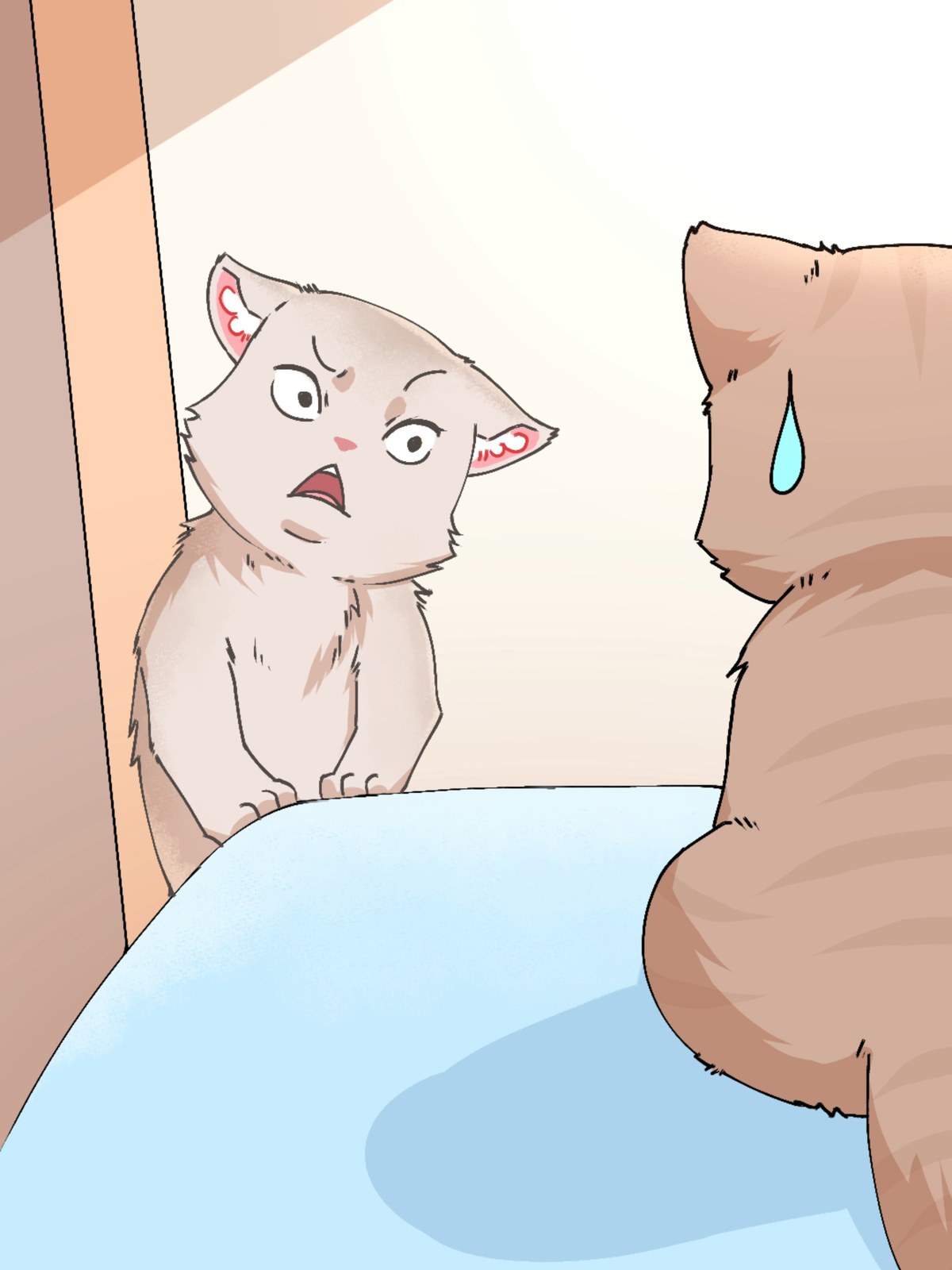 显眼包猫猫,吵架全程表情包