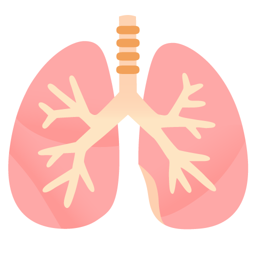 Lungs
