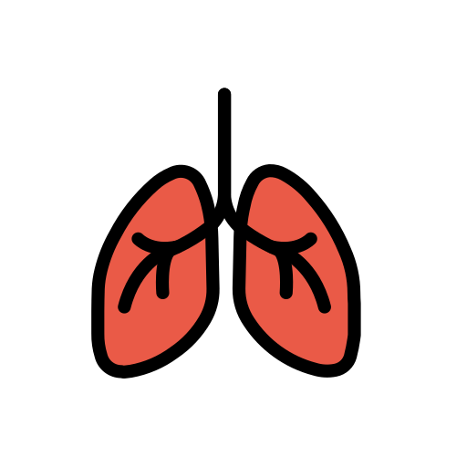 Lungs