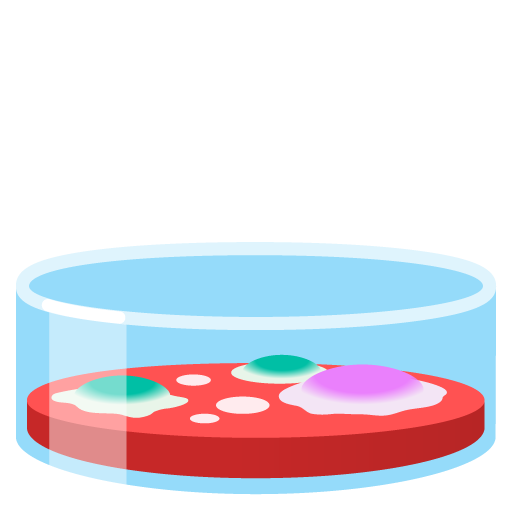 Petri dish