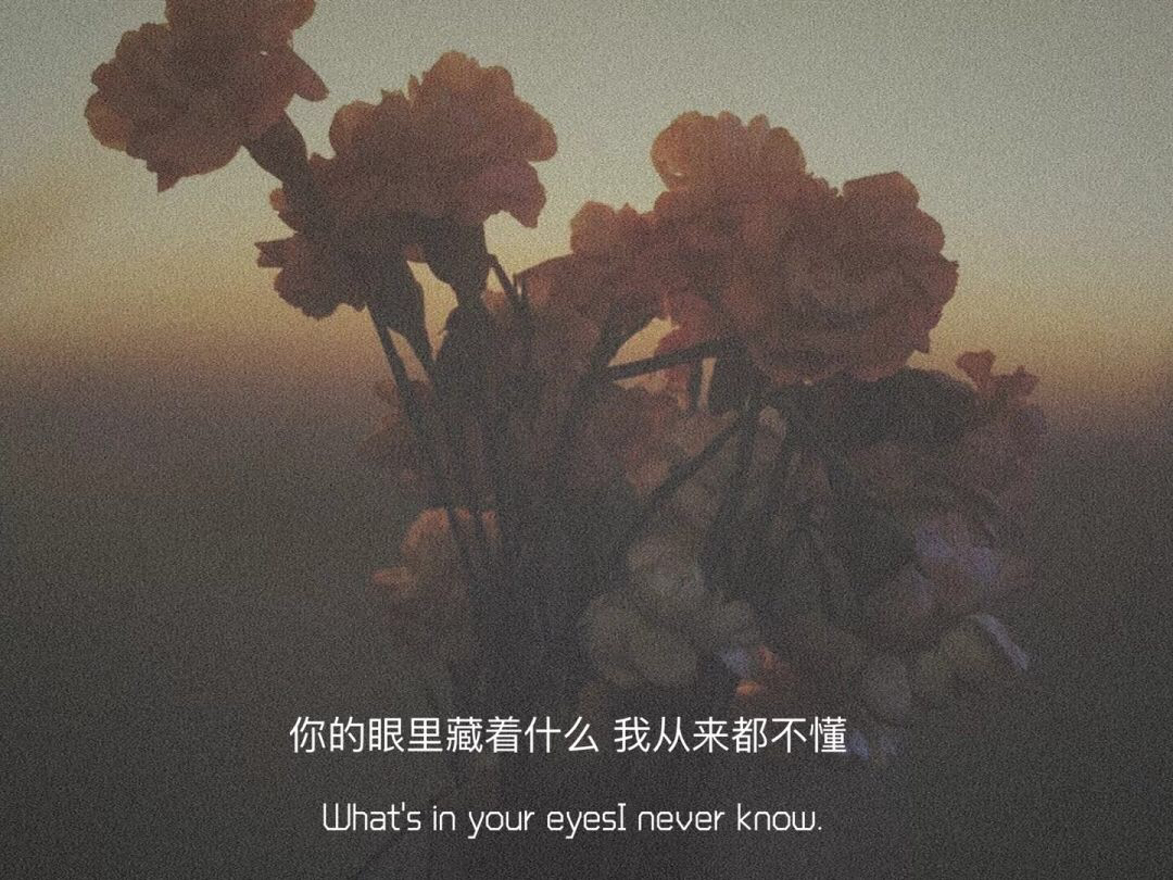 你的眼里藏着什么我从来都不懂What's in your eyesI never know