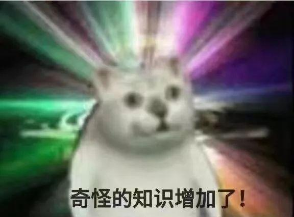 看看看