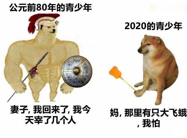 公元前80年的青少年2020的青少年妻子,我回来了,我今妈,那里有只大飞蛾天宰了几个人我怕