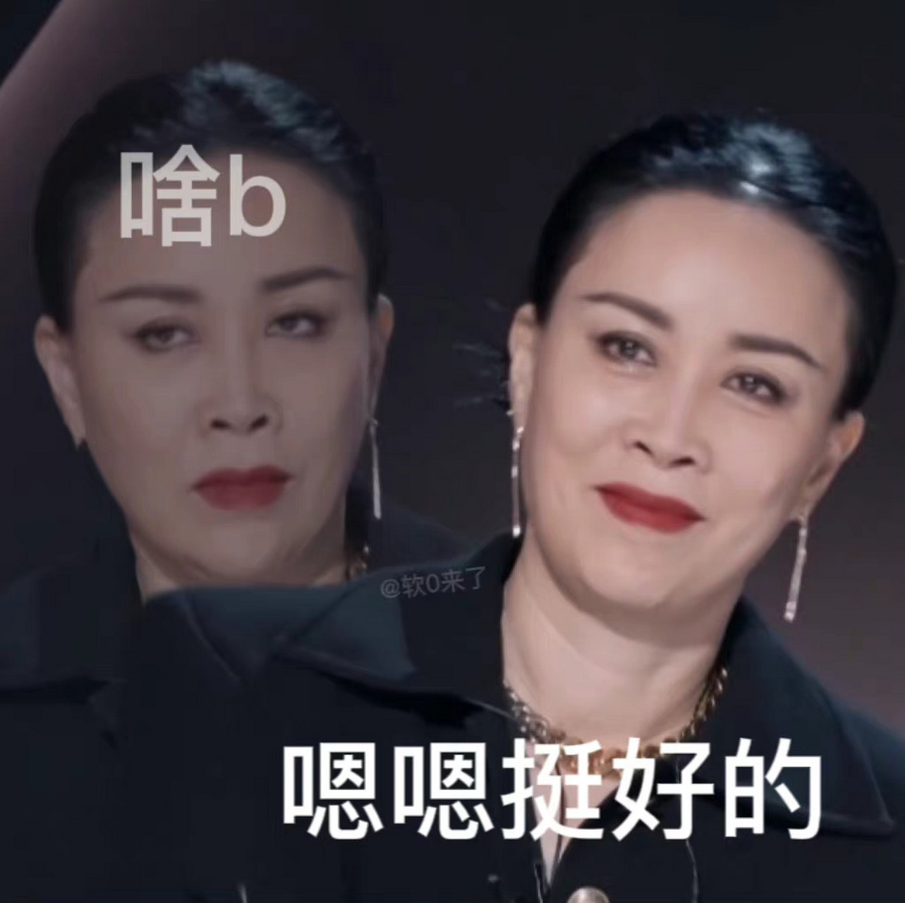 分享一组那英的表情包