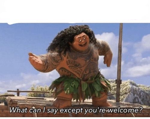 What can I say except you're welcome?