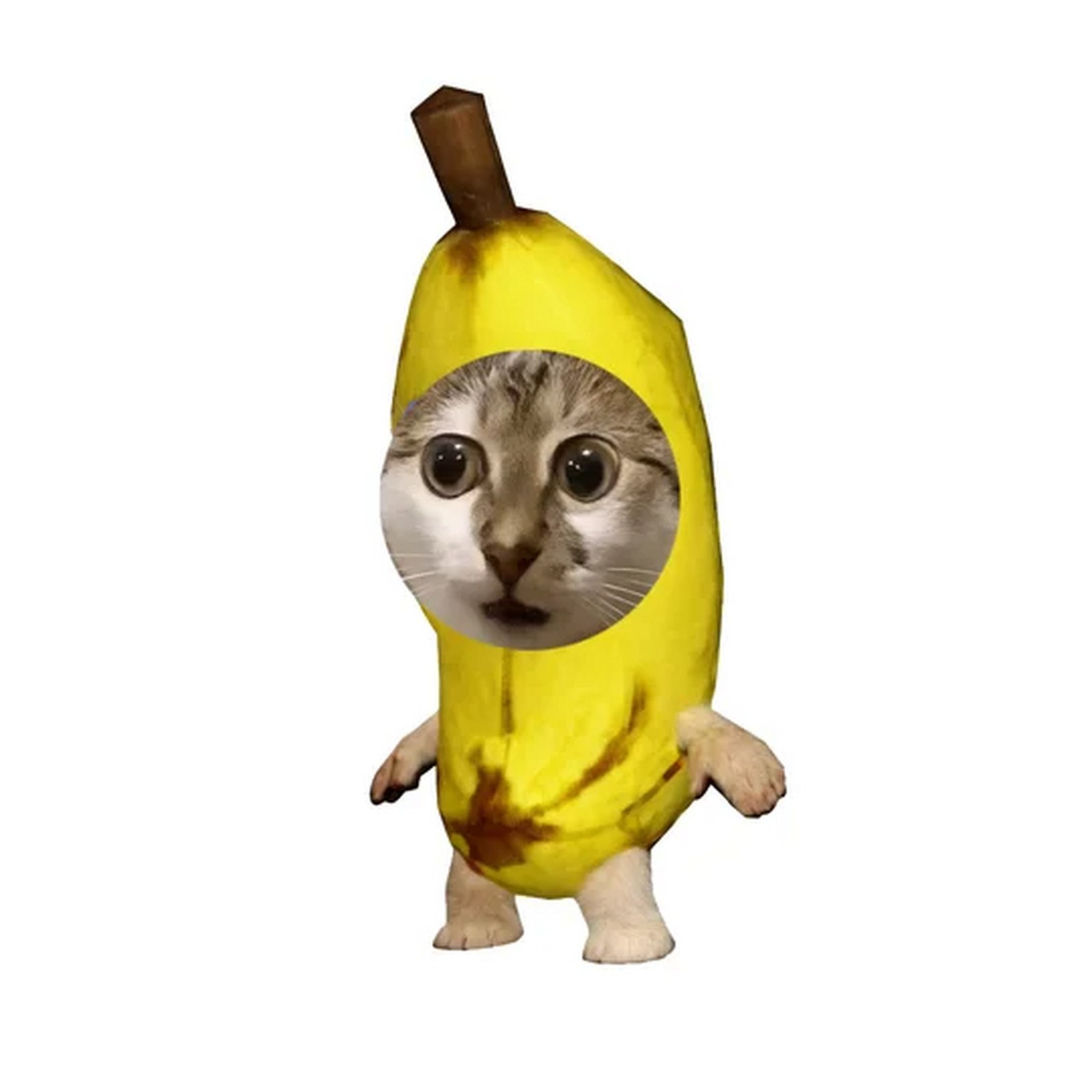 我的刀盾比比拉布香蕉猫表情包高清版