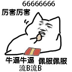 66666666,厉害厉害,牛逼牛逼,佩服佩服,流B流B