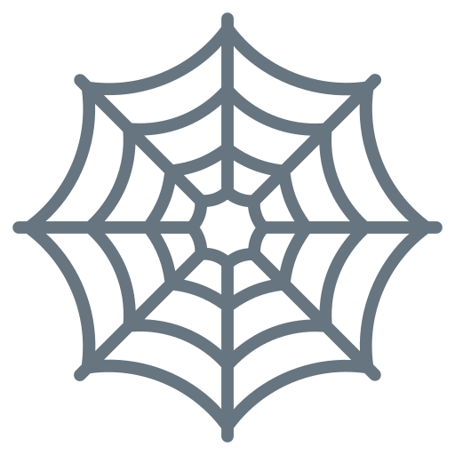 Spider web