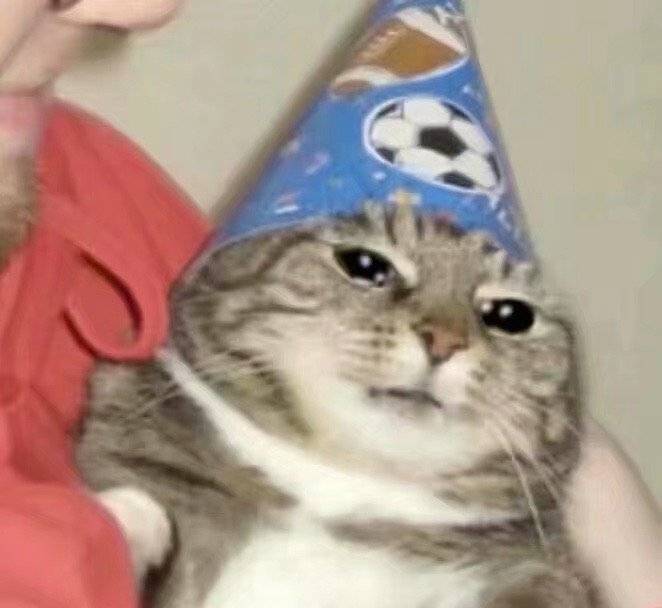 流泪猫猫头