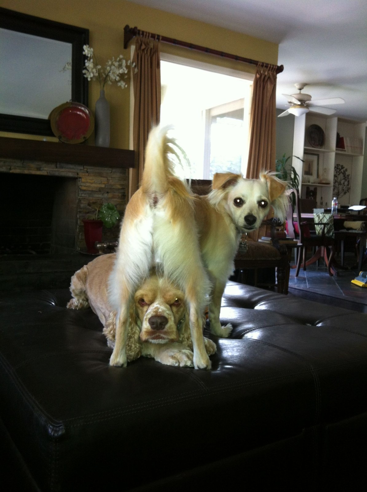 Phoebe Dominates