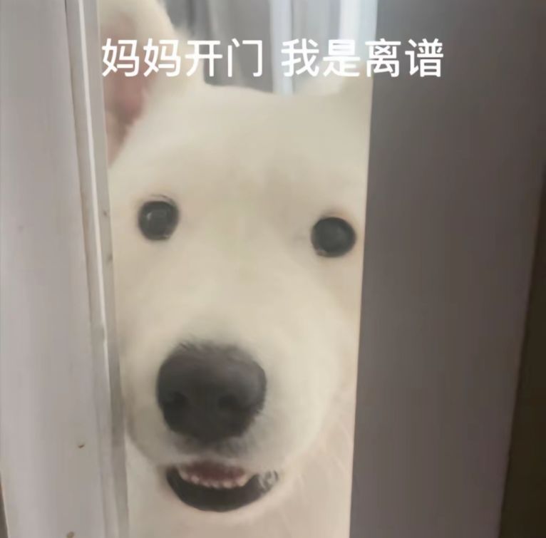 狗子:妈妈开门我是离谱表情包