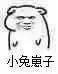 小兔崽子!(坏坏)