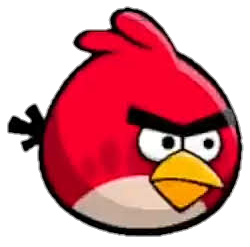 Red Bird Looking