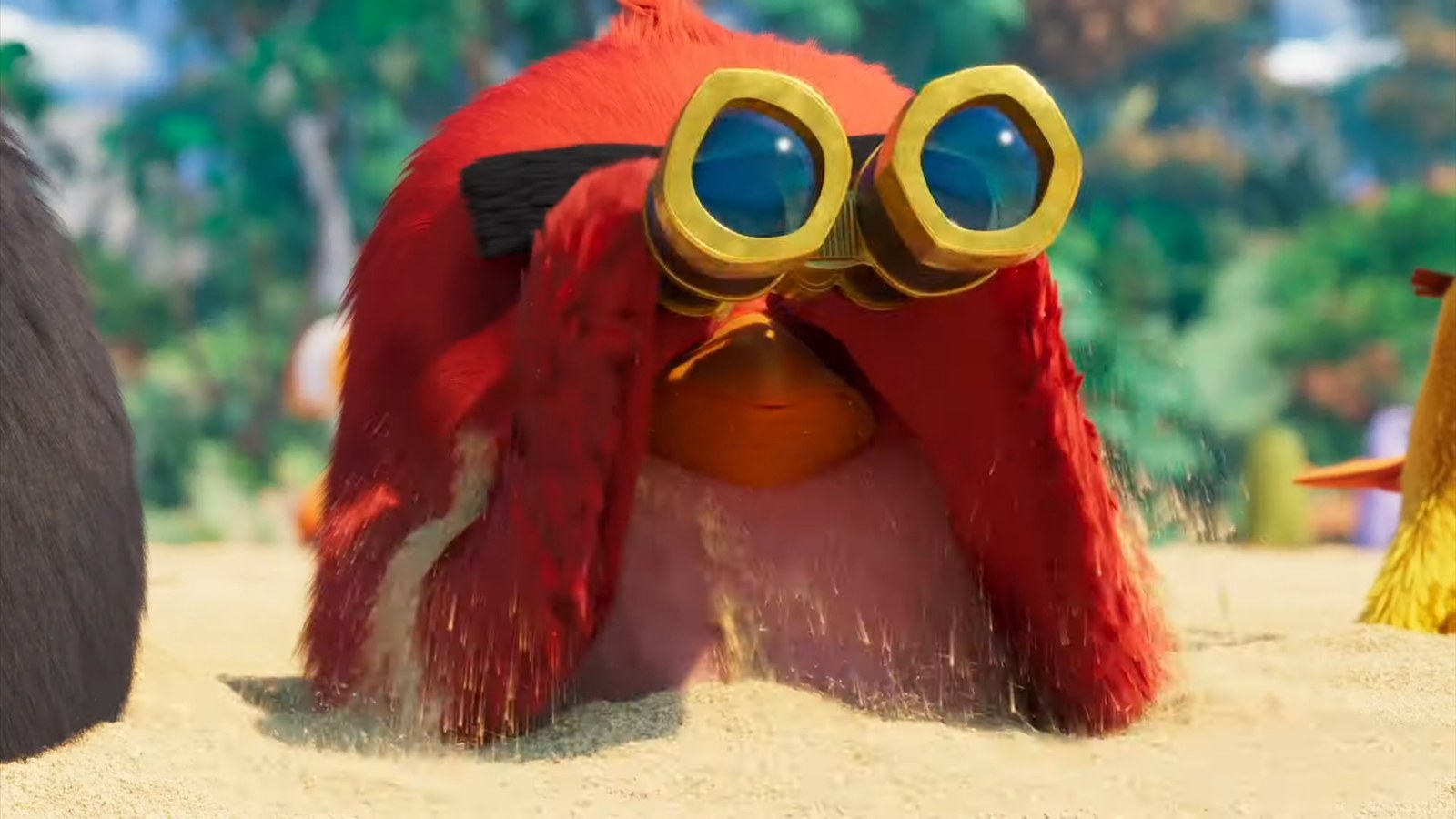 Red Bird Binoculars