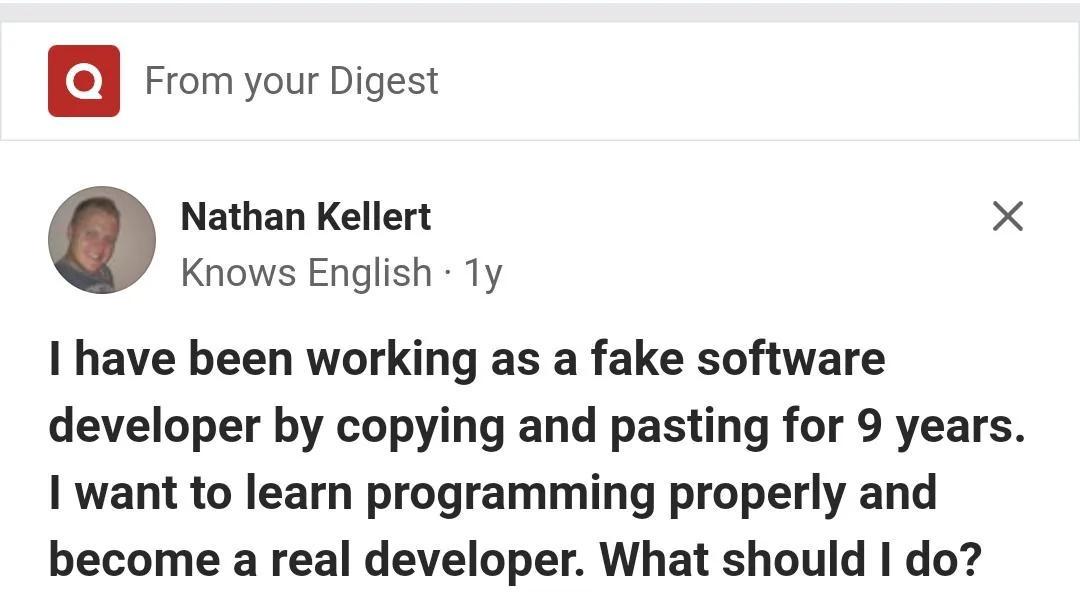 Senior Developer