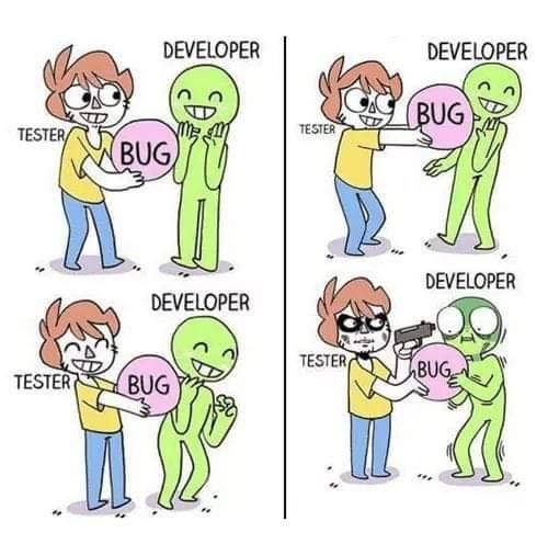 tester vs developer