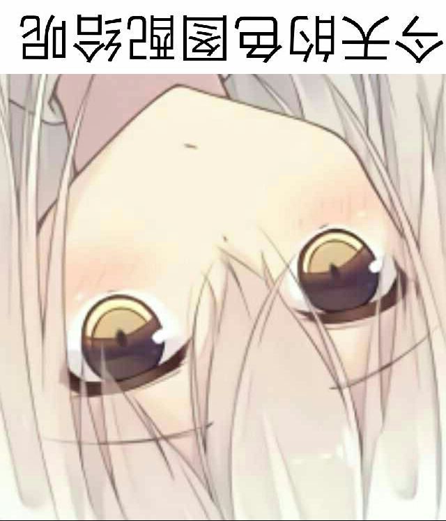今天的色图配给呢?
