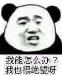 我能怎么办?我也很绝望呀!
