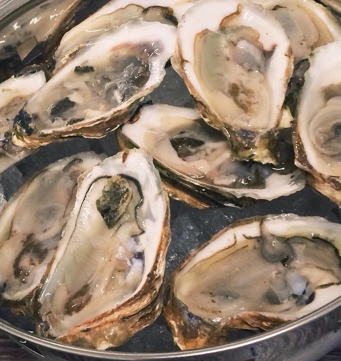 Oysters