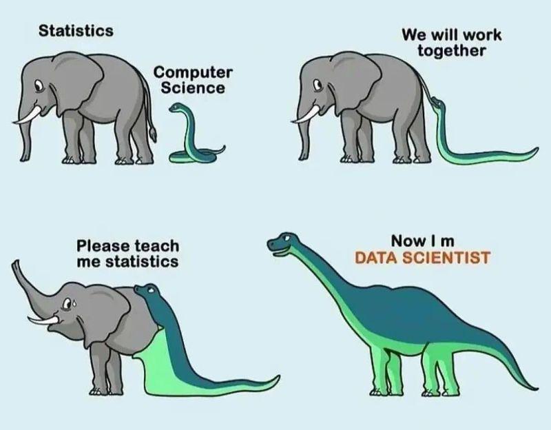 The Evolutionary Tale Of A Data Scientist