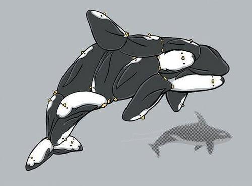 Penguin Orca
