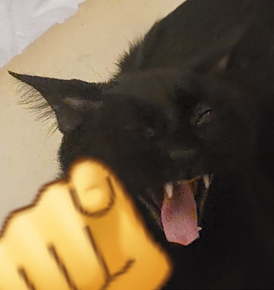 Black Cat Laughs