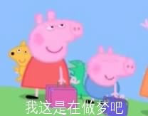 我这是在做梦吧